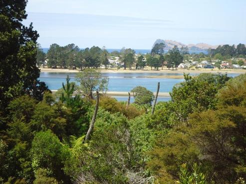 6 Rewa Rewa Valley, Tairua