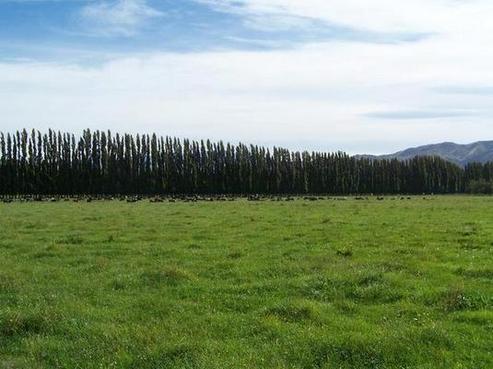 5133 Kurow-duntroon Road, Kurow