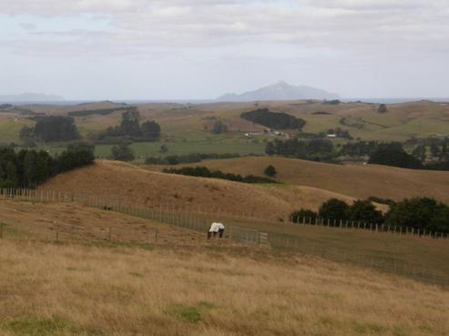 245 Brooks Road, Waipu