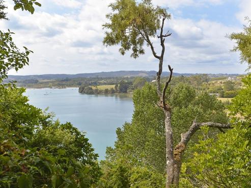 33 Pohutukawa Avenue, Shelly Park