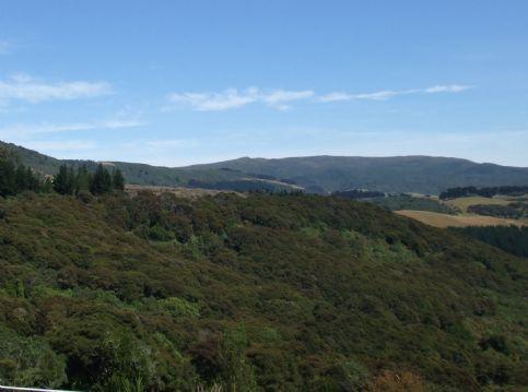 517 Mount Cargill Road, Mount Cargill