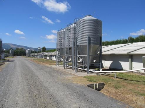 214 Stopford Road, Te Poi