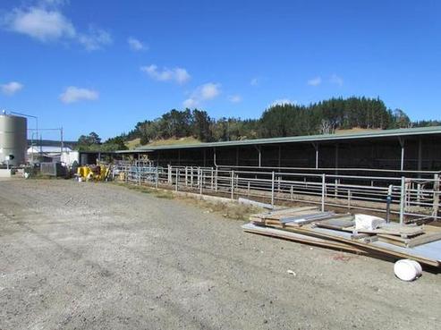1981 State Highway 12, Dargaville Surrounds