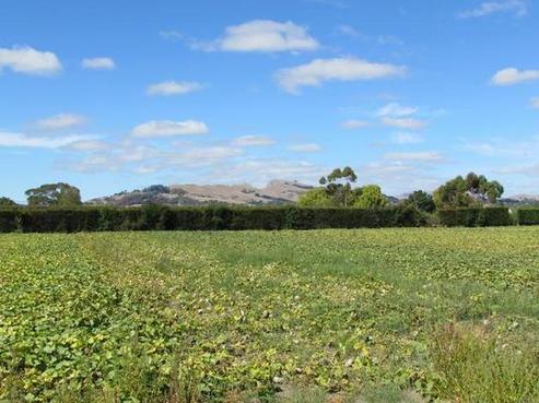 218 Te Mata Mangateretere Road, Havelock North