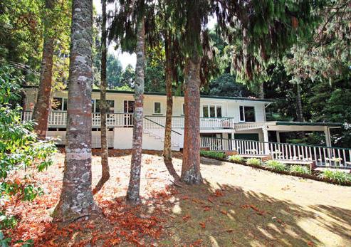 28 Ngaio Road, Titirangi