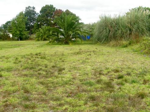108 Whau Valley Road, Whau Valley