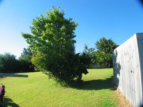 31A Matai Street, Waiuku