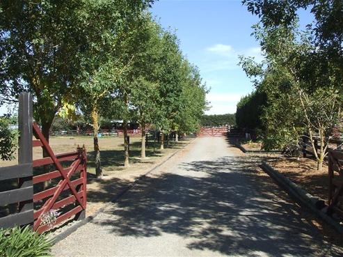 103 Leslies Road, Cust