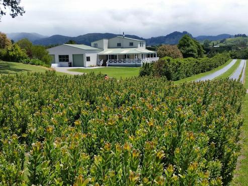 150 Kauri Point Road, Katikati