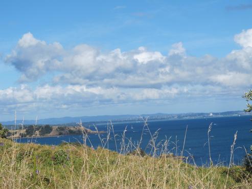 141 South Pacific Road, Rakino Island