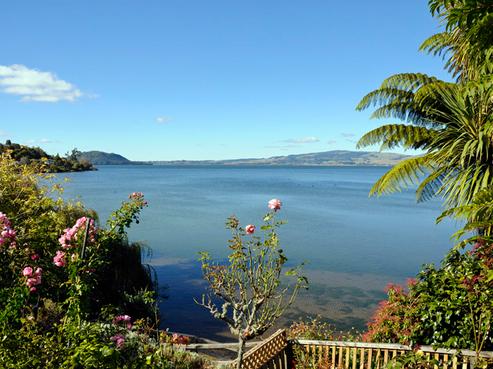 127 Koutu Road, Kawaha Point