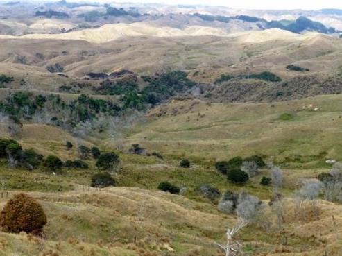 561 Klondyke Road, Onewhero