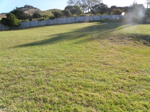 6 Pukeko Way, Whiritoa