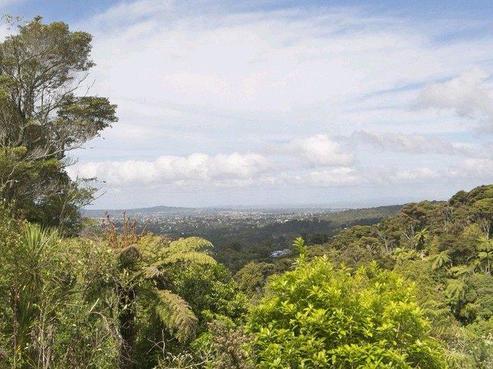 342 Forest Hill Road, Waiatarua