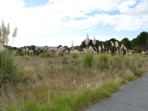 16 Quail Way, Mangawhai Heads