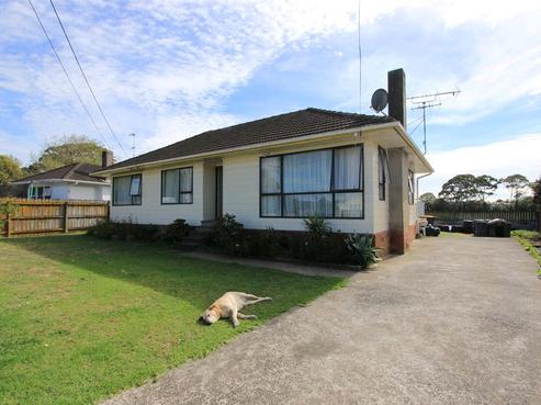 17 Velvet Crescent, Otara