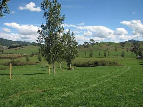 333 Morgan Road, Matamata