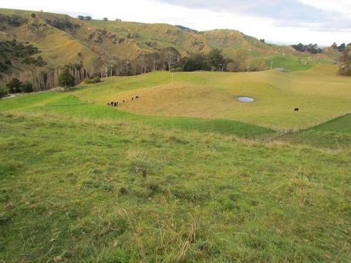 1124 Kaukatea Valley Road, Okoia