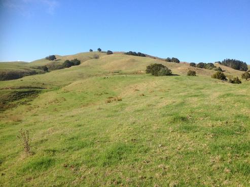59 Champion Road, Kaingaroa