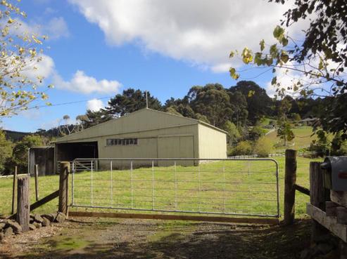 206 Annandale Road, Kumeu