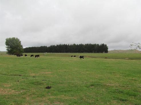 1578 Cheltenham Hunterville Road, Waituna West