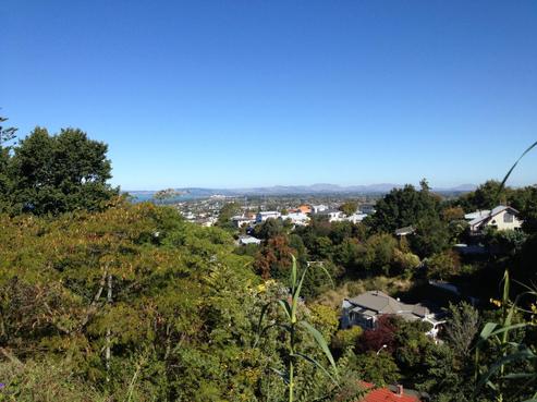 9A Sealy Road, Napier Hill