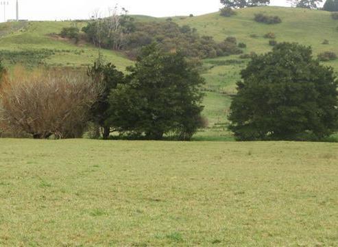 660 Kahikatea Flat Road, Waitoki