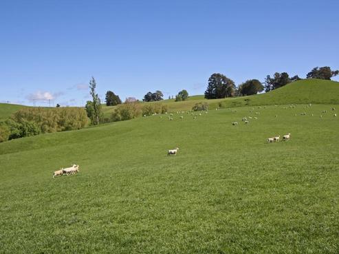 1700 Taihape Road, Sherenden