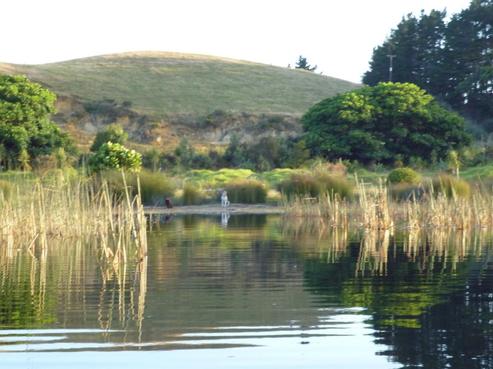59 Rotokawau Road, Awanui