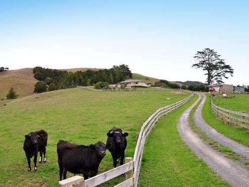 171 Old Kaipara Road, Kaipara Flats