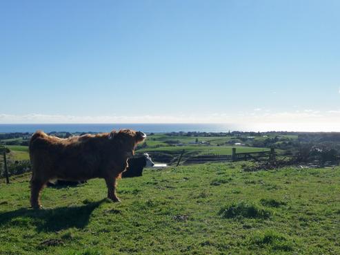 325 Upper Pitone Road, Oakura