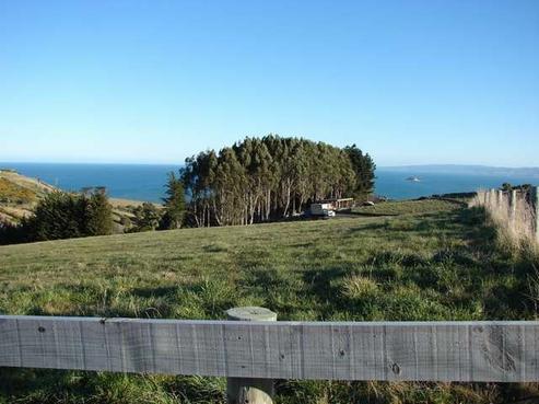 19 Green Island Bush Road, Blackhead