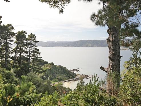 192 Nevay Road, Karaka Bays