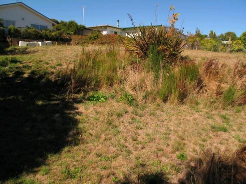 55 Rokino Road, Hilltop