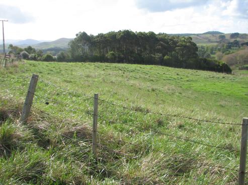 95 Phillips Road, Kaiwaka