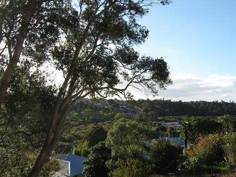 12 Dundonald Street, Riverside