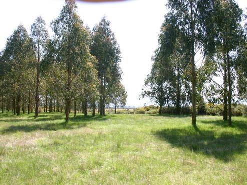 788 Wrights Road, West Eyreton
