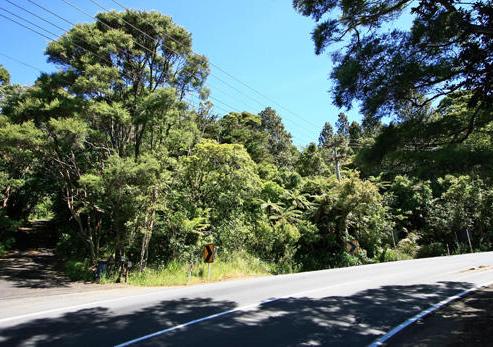 916 West Coast Road, Waiatarua