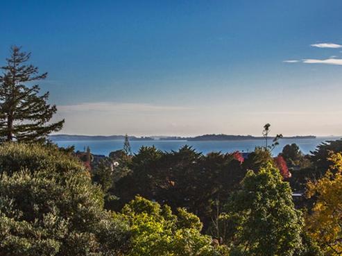 16 Towbridge Place, Howick