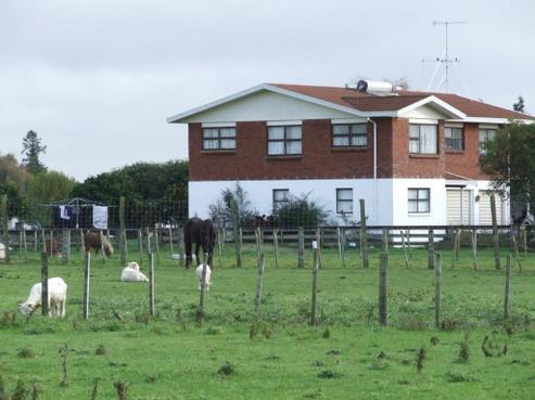 46 Flat Road, Kihikihi