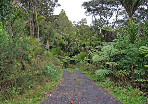 73 Huia Road, Titirangi