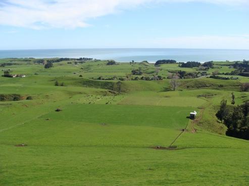 620 Mokau Road, Uruti