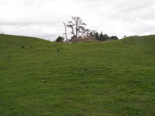 5 Old Coach Road North, Otaki