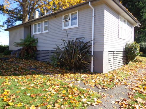 19 Charles Crescent, Putaruru