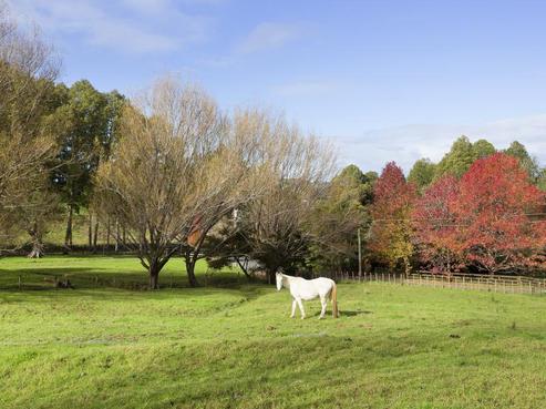 94 Smith Road, Matakana