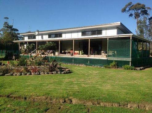 299 Pouto Road, Dargaville