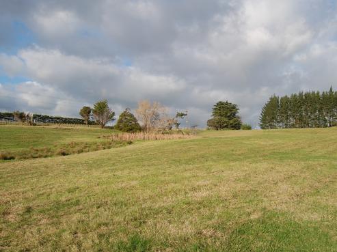 1239 State Highway 16, Waimauku