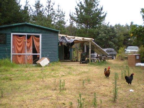 68 Gray Road, Great Barrier Island