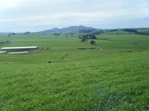 441 Puketitoi Road, Kokopu