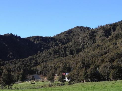 327 Tutaki Road South, Murchison